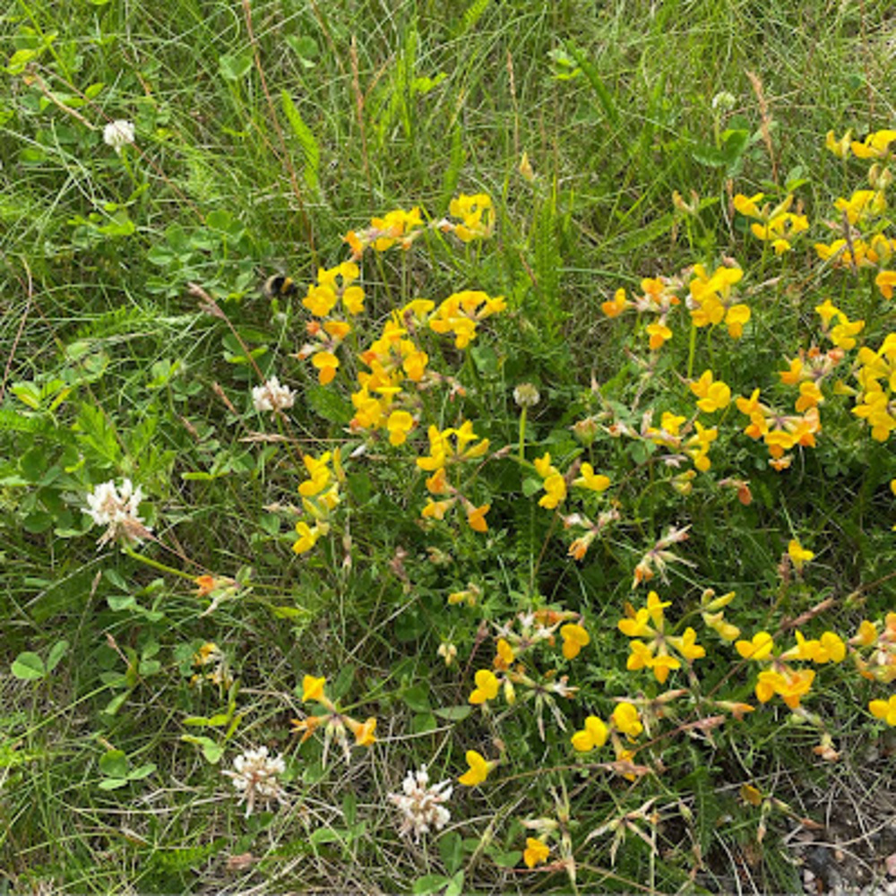 Meet your Posher, Mattie